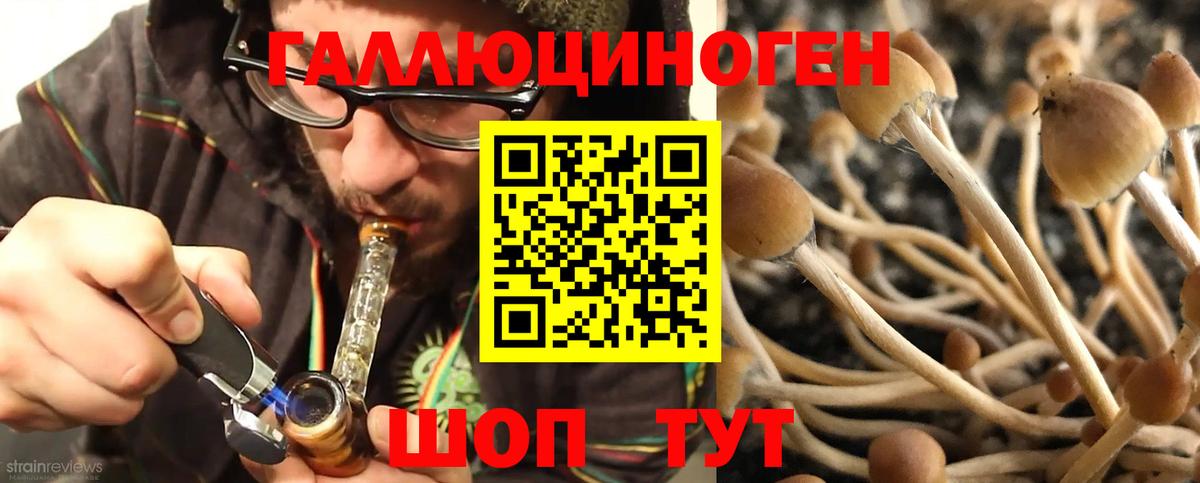 Галлюциногенные грибы Psilocybine cubensis  Вход с VPN  Печора  Псилоцибиновые грибы мухоморы 
