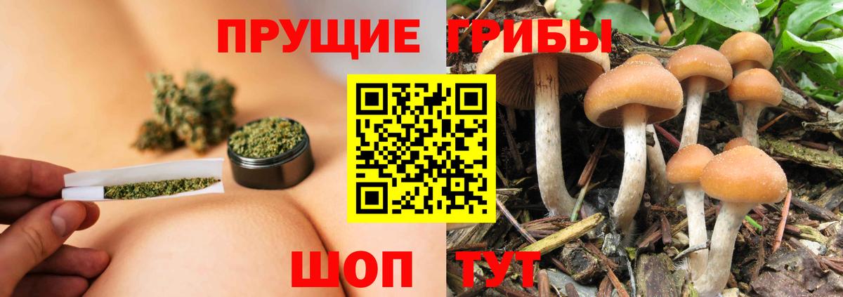 Галлюциногенные грибы ЛСД Печора