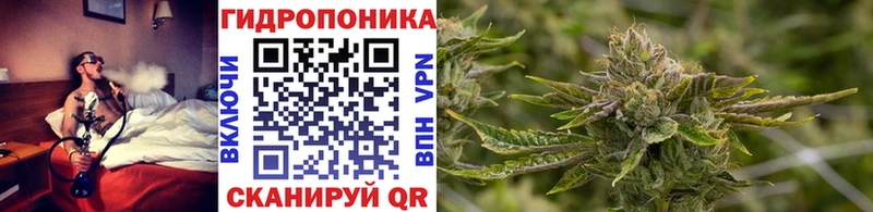 наркотики  Печора  Конопля конопля 